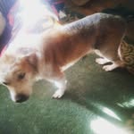 OliviaValero - @ripmoonandpepe - Instagram