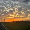 Olivia Van Horn - @oliviavanhorn7 - TikTok