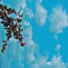 Olivia Vaughn - @oliviavaughn1 - TikTok