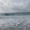 olivia - @oliviiavega - TikTok
