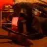 Olivia Veloz - @user495467687 - TikTok
