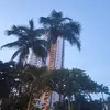 Olivia Vences - @olivia.vences - TikTok