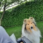 @olivia.vernont37 - Instagram