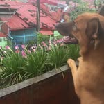 Olivia Tentado Vicencio - @olie_vicencio - Instagram