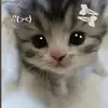 Love_him🤭 - @oliviavillegas3 - TikTok