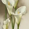 Olivia Villegas887 - @oliviavillegas887 - TikTok