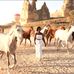 Liv Vines - Facebook