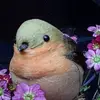 oliviavinson - @oliviavinson - TikTok