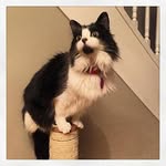 @olivia_voigt - Instagram