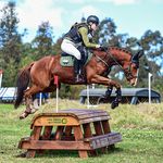 olivia waugh - @osz.eventing - Instagram