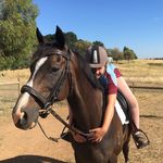 Olivia Waugh Equestrain - @syd.liv.equestrian - Instagram