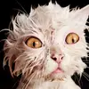 oliviawaugh64 - @oliviawaugh64 - TikTok