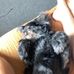 Olivia Webber - Facebook