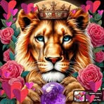 Olivia Webster-billingham - Facebook