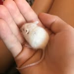 Olivia Weidner - @1_olive.oil_1 - Instagram