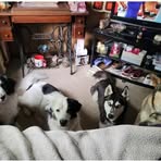 Olivia Weimer - Facebook