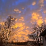 Olivia wetzel - @wetzel7805 - Instagram