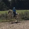Olivia wetzel - @4hsister - TikTok