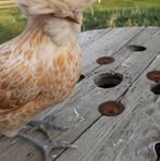 Olivia Wetzel - Facebook