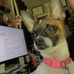 Olivia Wetzel - @sassiestinthetown24 - Instagram