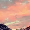 Olivia Whitcomb438 - @user16608651 - TikTok