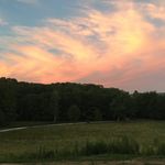 Olivia Wickwire - @oliviawickwire - Instagram