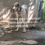 Wilkin Oliva - Facebook