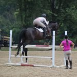 Olivia Williamson - @ocw_horses - Instagram