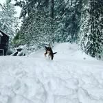 Olivia Williamson - @olivia.williamson1 - Instagram