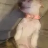 livvvvv - @oliviawinters605 - TikTok