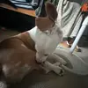 Olivia winter - @olivia._.winter - TikTok