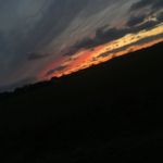 Olivia Winters - @oliviawinters5 - Instagram