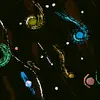 Olivia Winters - @olivia.winters0 - TikTok