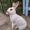 Olivia Woolford - @oliviawoolford87 - TikTok