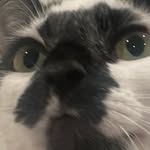 woolfie - @olivia_woolf312 - Instagram