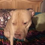 Olivia Yarbrough - @babay_lulu75 - Instagram