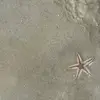 Olivia Yarbrough - @olivia.yarbrough1 - TikTok