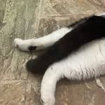 OliviaYing - @oliviayingy - Instagram