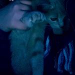 Princess Olivia Yost - @olivia.shutes.1 - Instagram