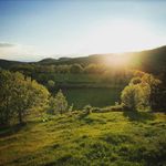 Olivier Brun - @olivier_gite_le_boucaret - Instagram