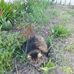 Olle Larsson - Facebook