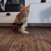 Olle Larsson - Facebook