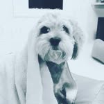 Ollie Baxter - @ollie_bubs_ - Instagram