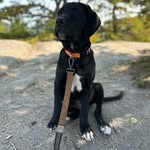 Ollie Baxter - @ollie_baxter_207_adventures - Instagram