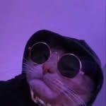 ollie - @olliebaxter__ - Instagram