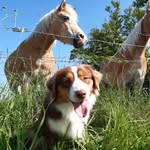 @ollie.berger.australien76 - Instagram