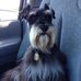 Ollie Black - Facebook