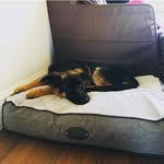 Ollie Blake - @ollie.new12 - Instagram