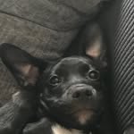 Ollie Blake - @ollieboi214 - Instagram
