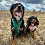 Ollie and Daisy - @ollieboydaisygirl - Instagram